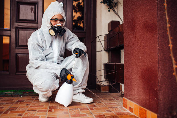 Reliable Emergency Pest Control contractor in Los Altos Hills, CA by Nex Pest Control