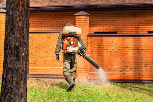 Trusted Fumigation Services service in Los Altos Hills, CA - Nex Pest Control